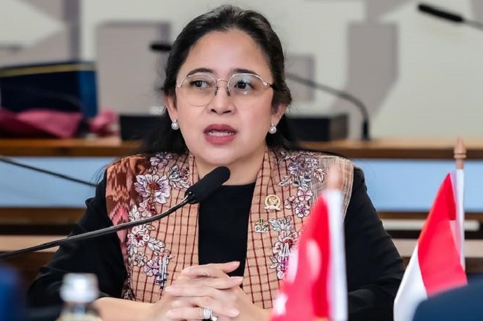 Ketua DPR RI Puan Maharani. (Facebook.com @Puan Maharani)  
