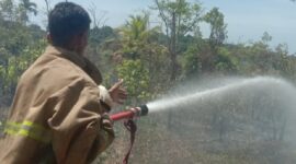 Personil BPBD Kabupaten Aceh Besar memadamkan kebakaran lahan di Kecamatan Lembah Seulawah. (BPBD Kabupaten Aceh Besar)