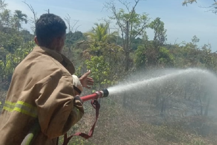 Personil BPBD Kabupaten Aceh Besar memadamkan kebakaran lahan di Kecamatan Lembah Seulawah. (BPBD Kabupaten Aceh Besar)