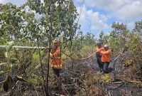 Tim gabungan melakukan penyemprotan air untuk memadamkan api di lokasi kebakaran lahan di Kabupaten Penajam Paser Utara, Provinsi Kalimantan Timur. (Dok. BPBD Kabupaten Penajam Paser Utara)