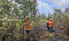 Kalimantan dalam Kepungan Api, Negara Gagal Baca Sinyal Krisis Ekologis