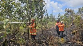 Tim gabungan melakukan penyemprotan air untuk memadamkan api di lokasi kebakaran lahan di Kabupaten Penajam Paser Utara, Provinsi Kalimantan Timur. (Dok. BPBD Kabupaten Penajam Paser Utara)