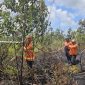 Tim gabungan melakukan penyemprotan air untuk memadamkan api di lokasi kebakaran lahan di Kabupaten Penajam Paser Utara, Provinsi Kalimantan Timur. (Dok. BPBD Kabupaten Penajam Paser Utara)