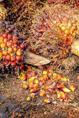 Kasus Suap CPO: Djuyamto Terbuka Akui Rp40 Miliar, Harap Jadi Titik Balik Hakim Indonesia